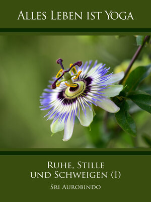 cover image of Ruhe, Stille und Schweigen (1)